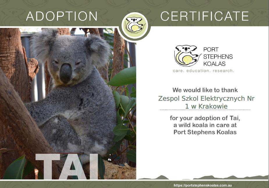 Nasze misie Koala
